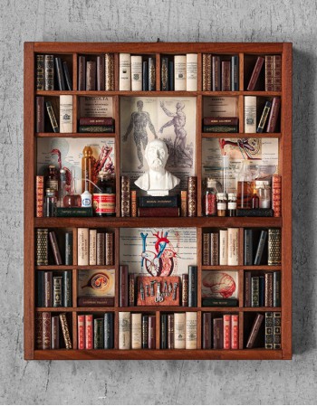 Medicina - Libreria in Miniatura - Manuzio