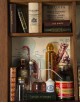 Medicina - Libreria in Miniatura
