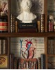 Medicina - Libreria in Miniatura