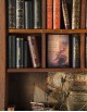 Navigazione - Libreria in Miniatura