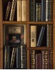 Shakespeare - Libreria in Miniatura