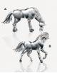 Equus - Murano Glass Art - Fornace Mian
