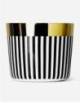 CHAMPAGNE GOBLET CA` D`ORO - VERTICAL STRIPES